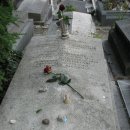 모딜리아니의원 이미지