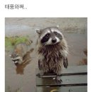 태풍 너구리 경로예상 이미지