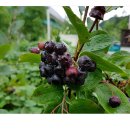 문촌4리 이미지