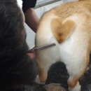 멍클스튜디오 이미지