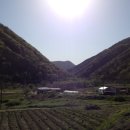 유가솜씨 이미지