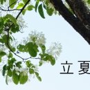 입하