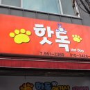 핫독애견 이미지