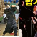 고산 합기도 거호의인총본관 이미지