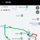 교대주먹고기