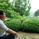 동백산방 이미지