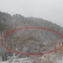 입탄리경로당 이미지