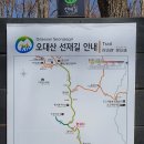 도천의 명상일지(5)-치유와 명상의 길, 오대산 선재길 명상여행 이미지