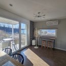 햄릿과 올리브 이미지