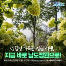 가득한정원 이미지