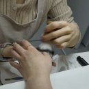 로로네일 - 속초시 새마을1길 18 | 로로네일