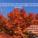 삼백인력 이미지