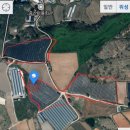 선해농장 이미지