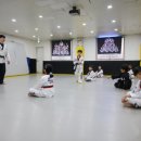 용인대 안산 타이거즈 태권도장 이미지