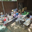 고기파마 이미지