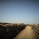 해변모텔 이미지