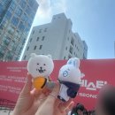 무신사 뷰티페스타 팝업 후기