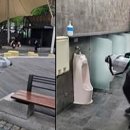 마로니에공원 화장실 이미지