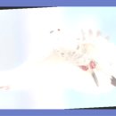 재활나라 이미지