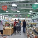 순애농장 이미지