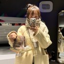 멍뭉이샵 | 잠실태닝 네오라 24시 태닝샵 화이트태닝 후기