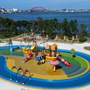 청초호유원지(북측) 이미지