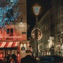 우리들의 댕댕이 이미지