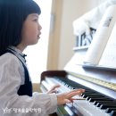 피아노숲 이미지