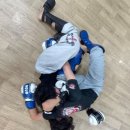 합성태권도장 이미지