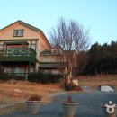 양지펜션 이미지