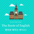 코닉스CONICS 네이버블로그