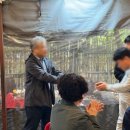 치유본한의원 네이버블로그