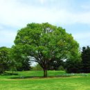 힐링철학원(사주,궁합,작명,상호) | 신촌 사주 잘보는 곳 "갑목일주" 여자 사주 보고 왔어요 "힐링철학원 작명소"