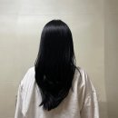 댄디애견 | 삼성역헤어샵 무이 삼성점 윤 디자이너 매직셋팅 후기