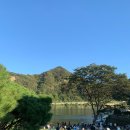 브리끄