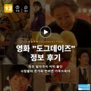 도그데이즈 | 영화 도그데이즈 정보 후기, 작은 발자국이 이어 붙인 사람들의 온기와 반려견 가족드라마