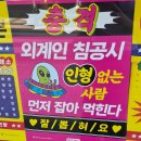 밥먹고술먹고 | 강남 오리엔탈라운지 헌팅 여자는 0원으로 술먹고 밥먹는 곳 후기