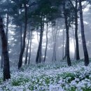 호숫가 펜션 이미지