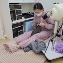로얄캣 | 강남구고양이미용실 로얄캣에서 우리 딸랑이 봄맞이 목욕 후기