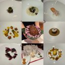 푸마농장 | 흑백요리사 손종원쉐프 파인다이닝 [라망시크레 디너] 솔직 후기 🧑🏻‍🍳 #할인 #주차 # 메뉴