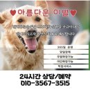 경북반려동물장례식장 | 안동고양이장례식장 추천,후기/장례비용 소동물15만원, 기본장례20만원/ 경북북부 유일의 반려동물장례식장