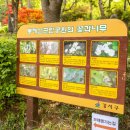 봉제산근린공원 이미지