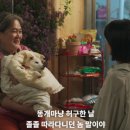 대교슈퍼