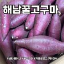 건강비타팜 | 해남꿀고구마 비타팜여니 스마트스토어 겨울간식 후기