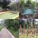 전병호 농장 이미지