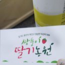 쌍둥이딸기농원