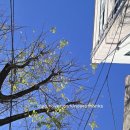 본죽&비빔밥 광주문흥점 네이버블로그