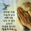 아는사람 Daum카페