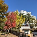 경진공인중개사사무소 이미지