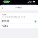 웨일라이트